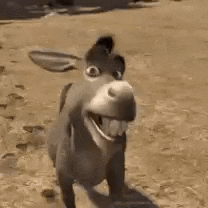 Burro Do Shrek Gif GIF