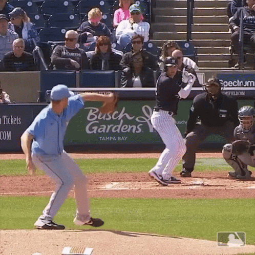 Busch Gardens Sponsors Baseball Game