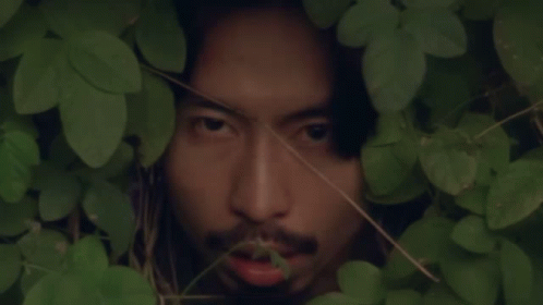 Bush Face Out In The Bushes GIF