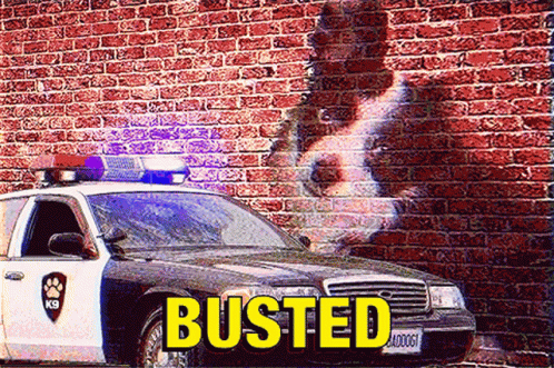Dog Busted Caught In The Act GIF