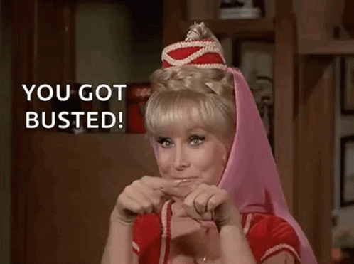 Barbara Eden You Got Busted GIF