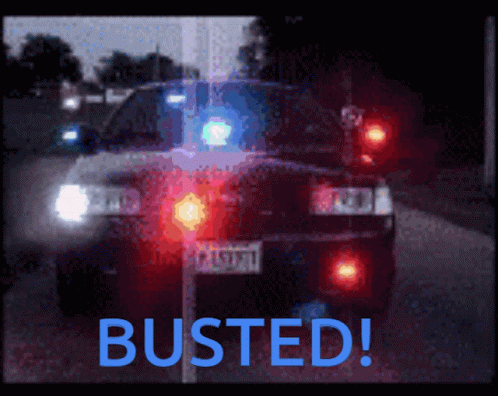 Police Car Busted Lights Flashing GIF