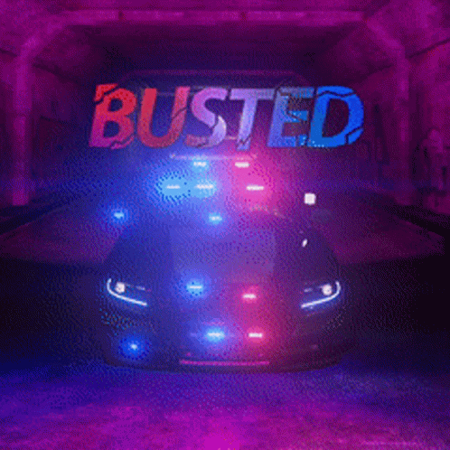 Police Car Busted Arrest Moment GIF