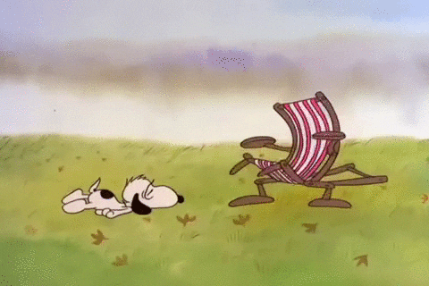 Busted Cart Peanuts Snoopy Thanksgiving GIF