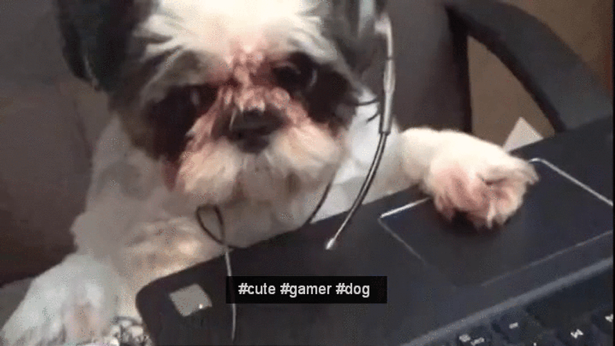 Busy Cute Gamer Dog GIF
