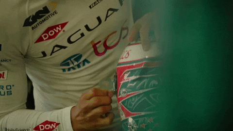 Busy Jaguar Car Racer GIF