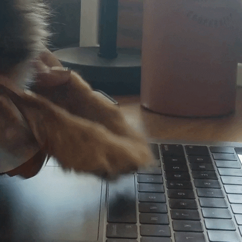 Busy Monday Funny Dog Using Laptop GIF