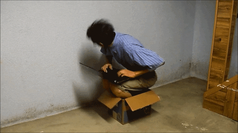 Busy Monday Hysterical Working In Box GIF