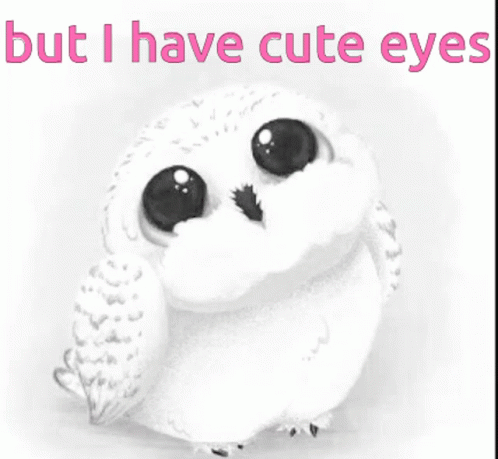 But I Have Cute Eyes Hedwig GIF