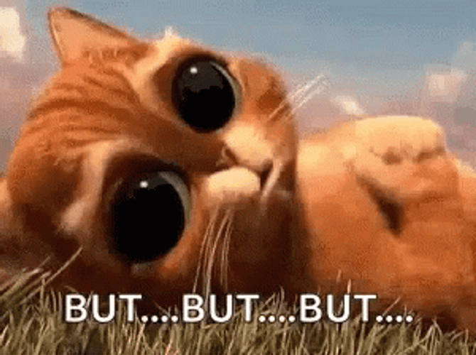But Puppy Dog Face Puss In Boots  GIF