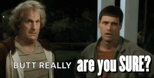 But Really Are You Sure Sure GIF