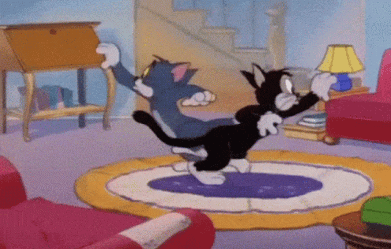 Butch And Tom Searching Tom And Jerry Show GIF