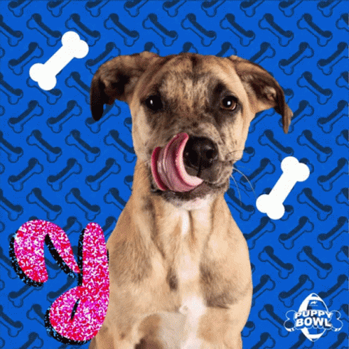 Butter Dog Licking Yum GIF