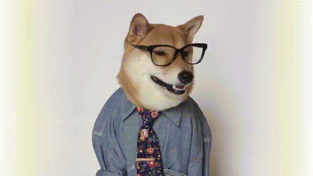 Butter Professor Dog GIF