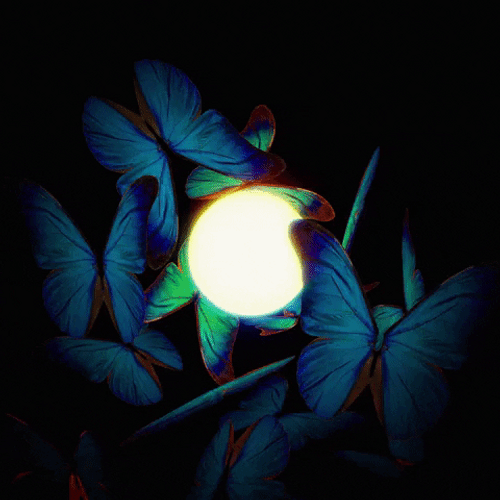 Butterflies Around Light Orb GIF