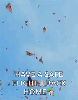 Butterflies Flying With Have A Safe Flight