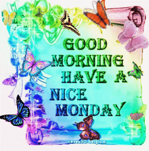 Butterflies Good Morning Monday Funny GIF