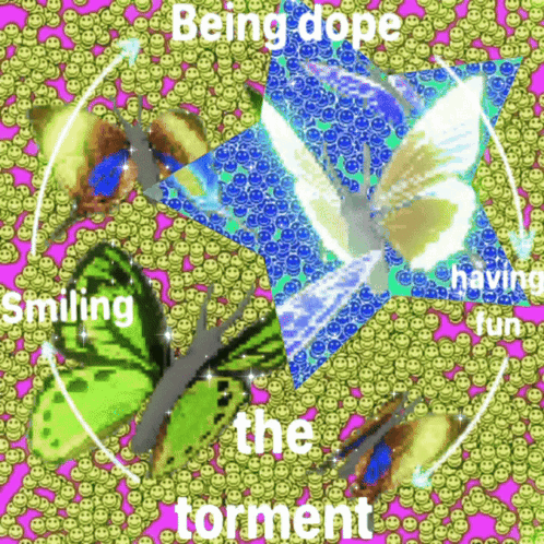 Butterflies Smiley Faces Being Dope Smiling Having Fun Torment GIF