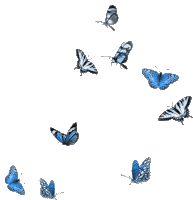 Butterflies Sticker GIF