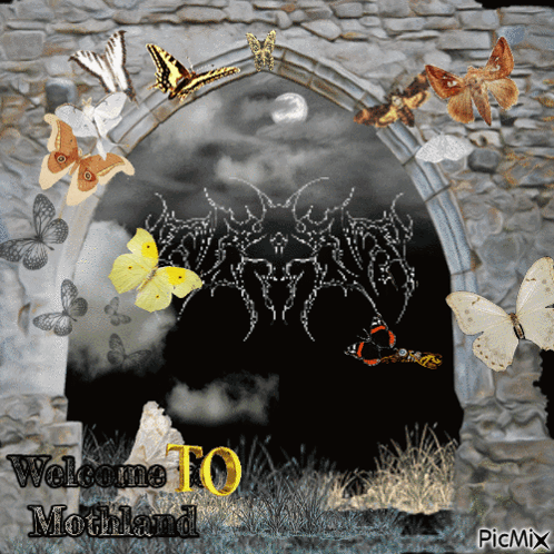 Butterflies Welcome To Mothland GIF