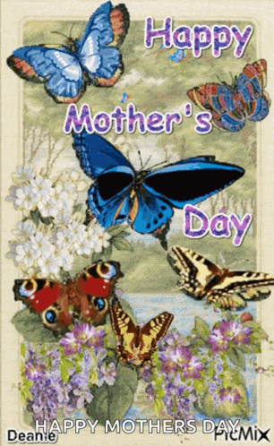 Butterflies With Happy Mothers Day GIF