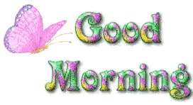 Butterfly Flies Over Good Morning