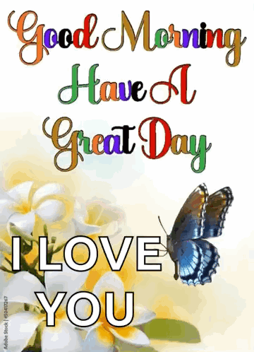 Butterfly Flowers Good Morning I Love You GIF