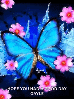 Butterfly Flying Over Blue Swirl Cibela73