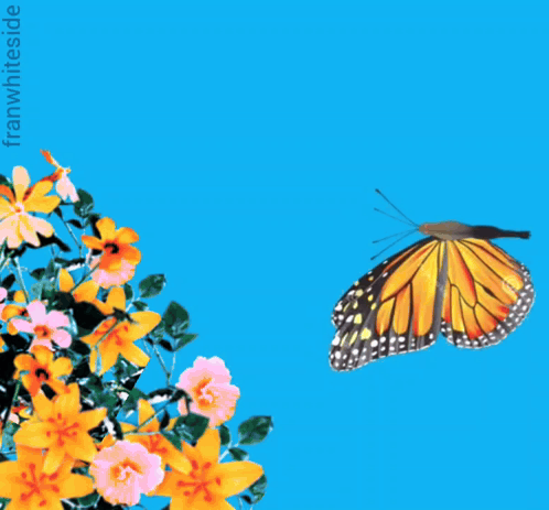 Butterfly Flying Over Flowers Saying Good Morning GIF