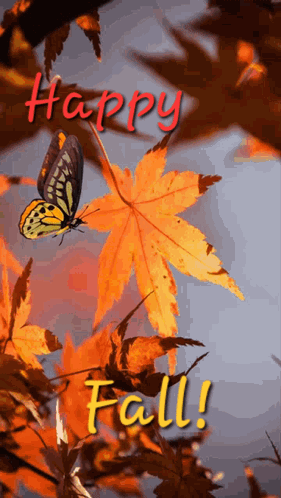 Butterfly Flying Over Maple Leaf Saying Happy Fall GIF