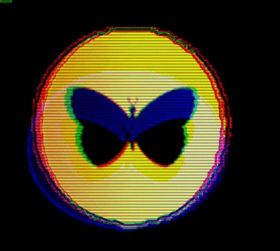 Butterfly Glitch Retrowave Aesthetic GIF