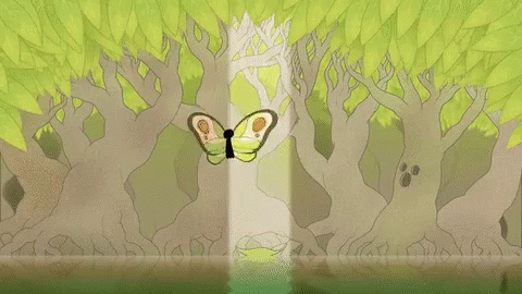 Butterfly in Forest