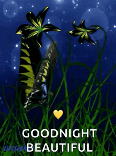 Butterfly In Grass Goodnight Beautiful GIF