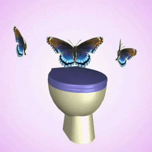 Butterfly In Toilet Bowl Wazzup GIF