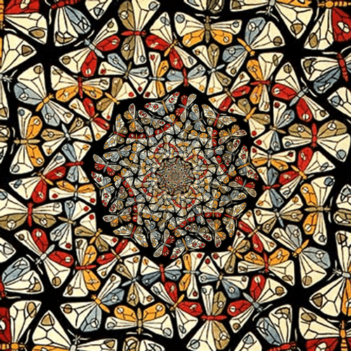 Butterfly Infinite Pattern GIF