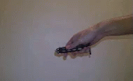 Butterfly Knife Opening Closing Technique GIF