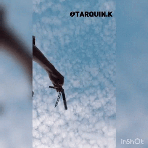 Butterfly Knife GIF