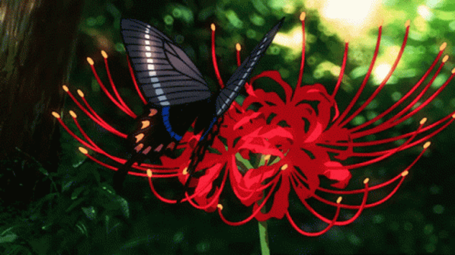 Butterfly Landing On Spider Lily Anime Flower GIF