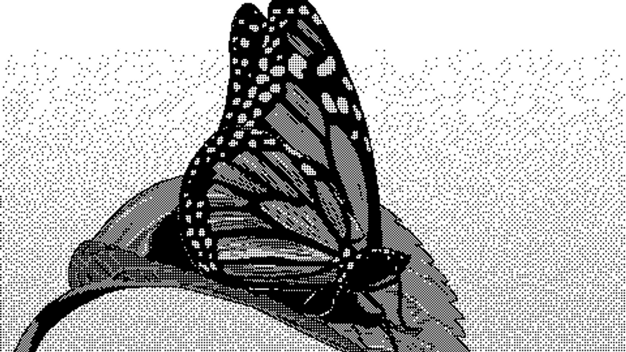 Butterfly Monochrome Pixel Art GIF