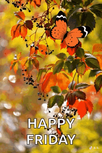 Butterfly On Branch Saying Happy Friday GIF