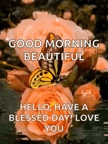 Butterfly On Flower Saying Good Morning Beautiful Blessed Day GIF