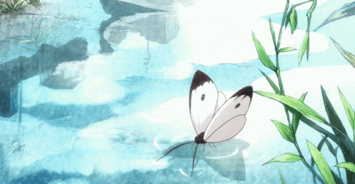 Butterfly on Leaf in Pond