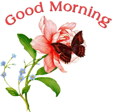 Butterfly on Pink Flower Saying Good Morning