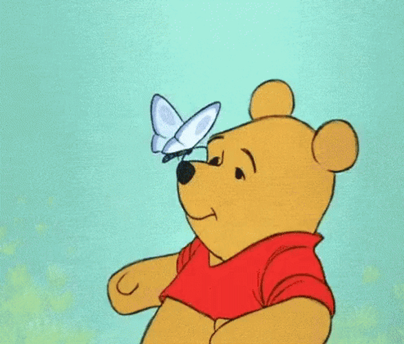 Butterfly On Pooh Nose GIF