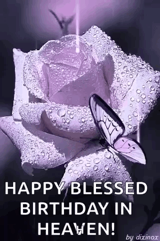 Butterfly on Purple Rose With Water Drops