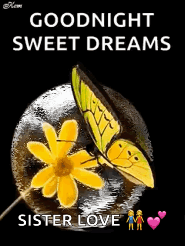 Butterfly On Yellow Flower Saying Goodnight Sweet Dreams Sister Love GIF