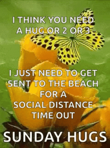 Butterfly on Yellow Flower With Hug Message