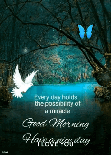 Butterfly Over Water Saying Every Day Holds a Miracle