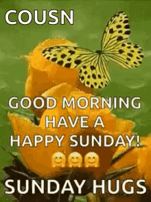 Butterfly Saying Good Morning Have Happy Sunday GIF