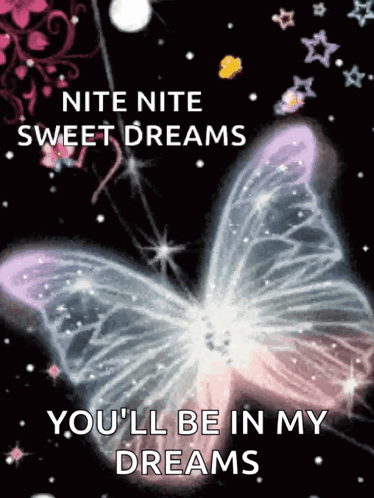 Butterfly Saying Nite Nite Sweet Dreams GIF